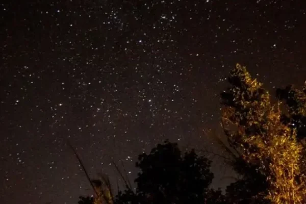 Star Bed: Sleep Under the Stars at Pench Jungle Camp