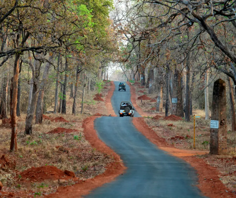 Tadoba jungle camp