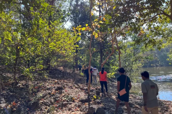 Exploring the Rich Wildlife of Rukhad Jungle