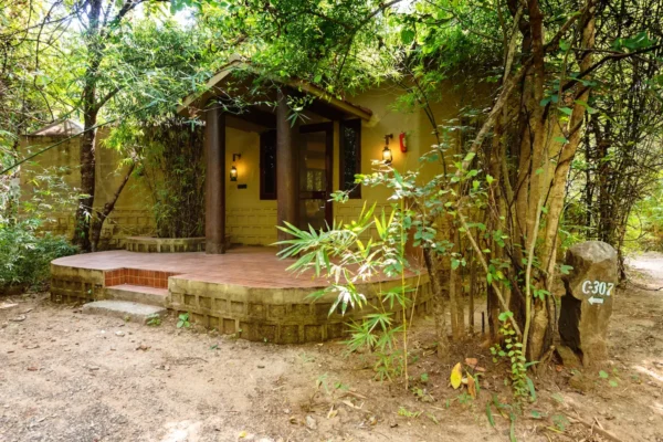 5-Star Jungle Safari Resort in Pench National Park