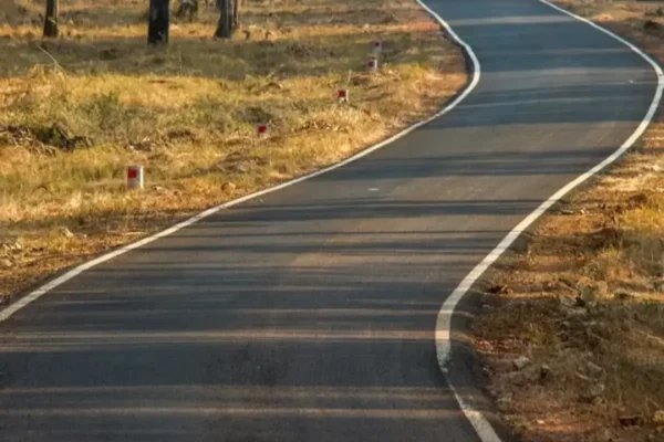 Tadoba in Winter: An Enchanting Season for Wildlife Enthusiasts