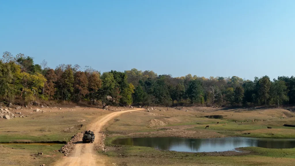 Pench Jungle Camp