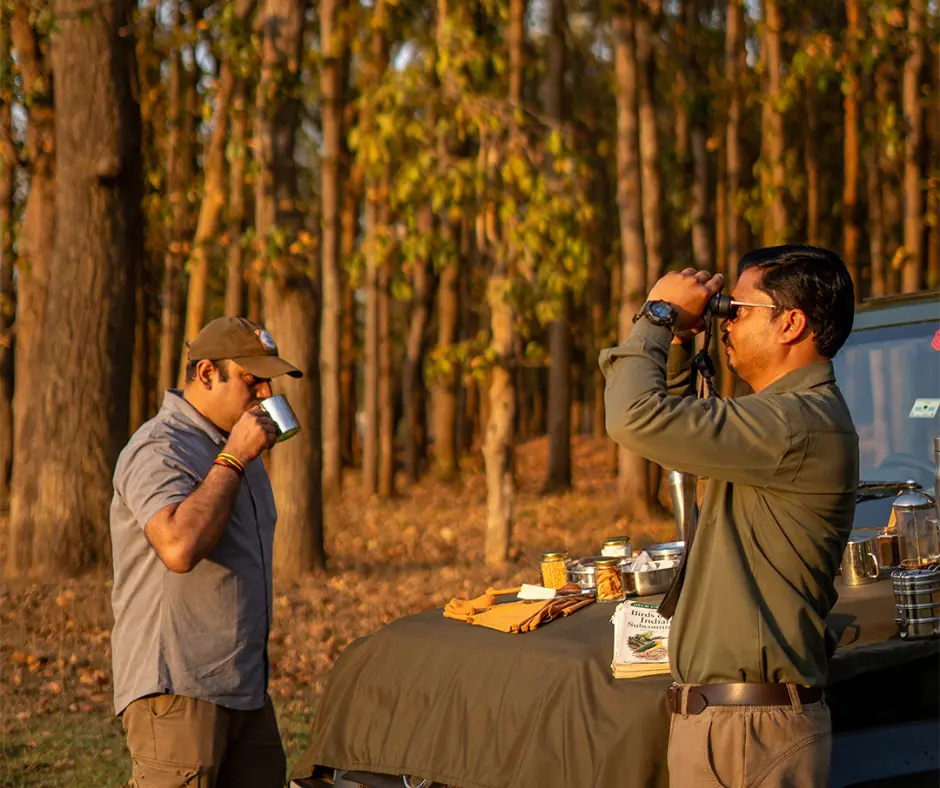 Kanha Jungle Camp