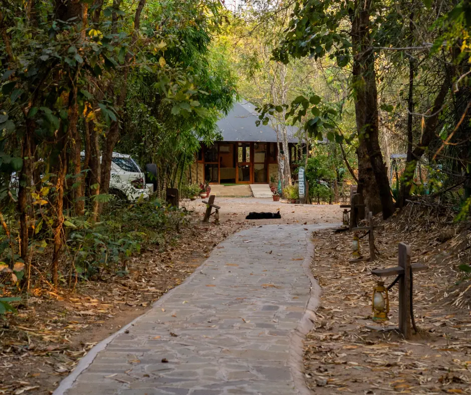 Pench Jungle Camp