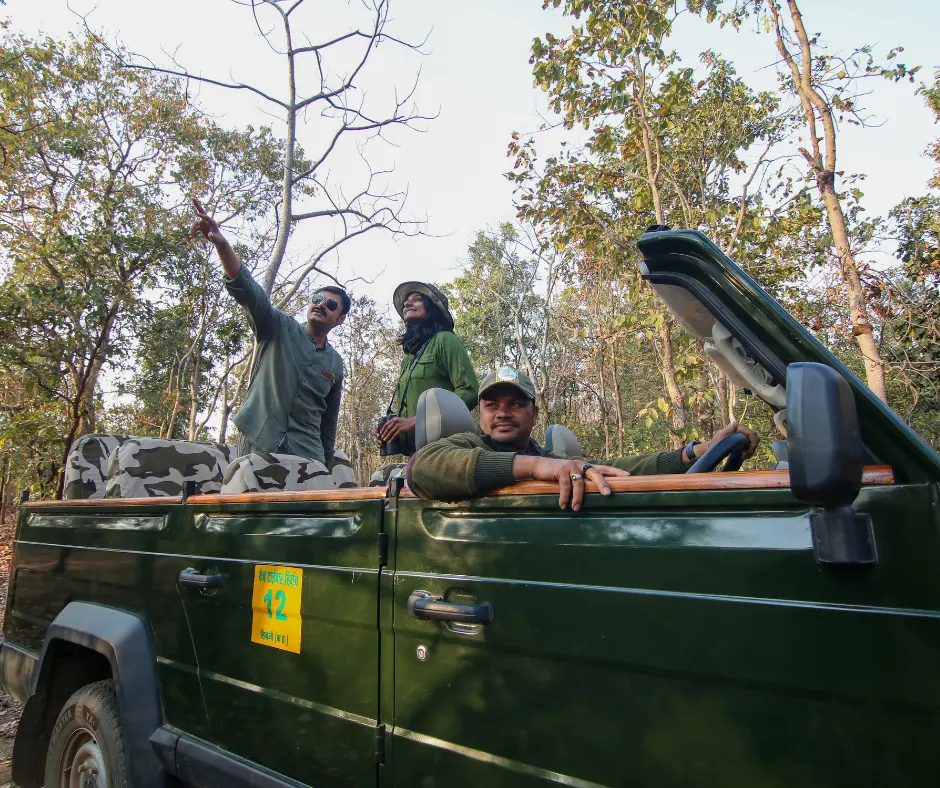 pench jungle camp