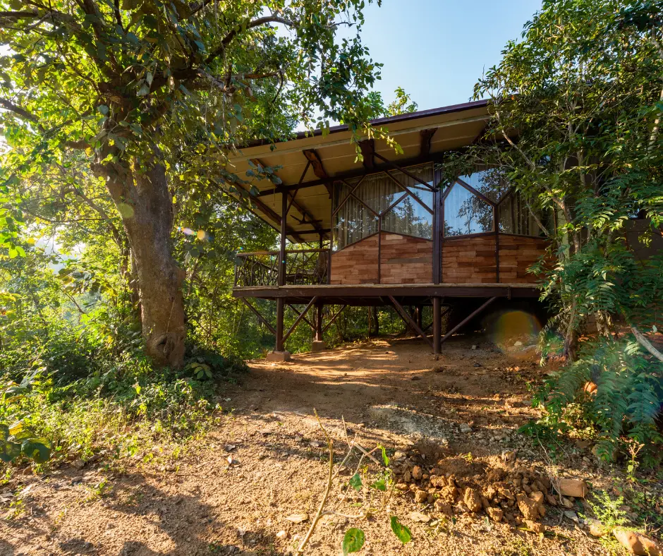 Kanha Jungle Camp