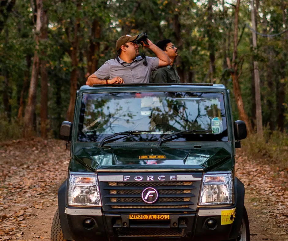 Pench Jungle Camp